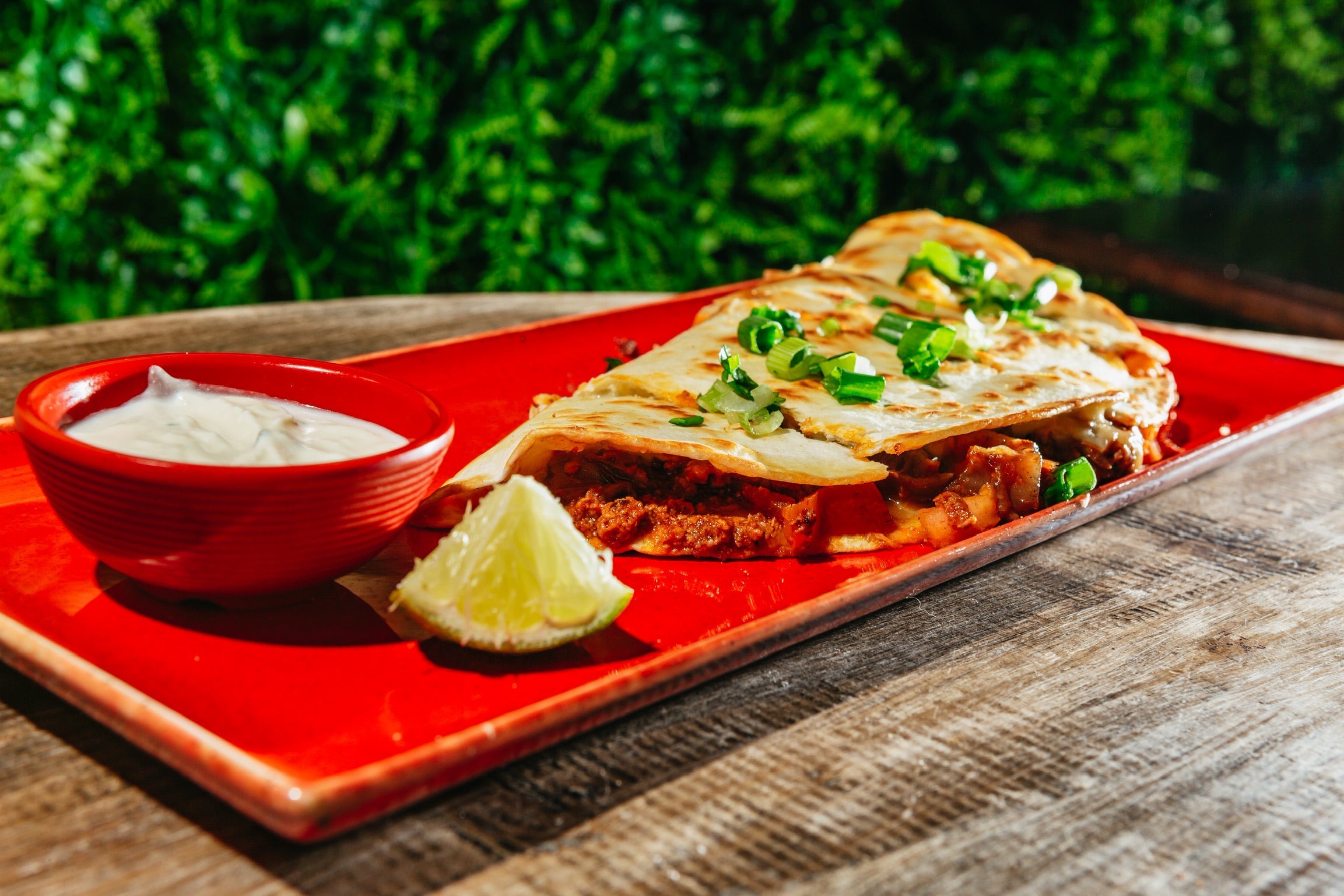 Karne Asada Quesadilla